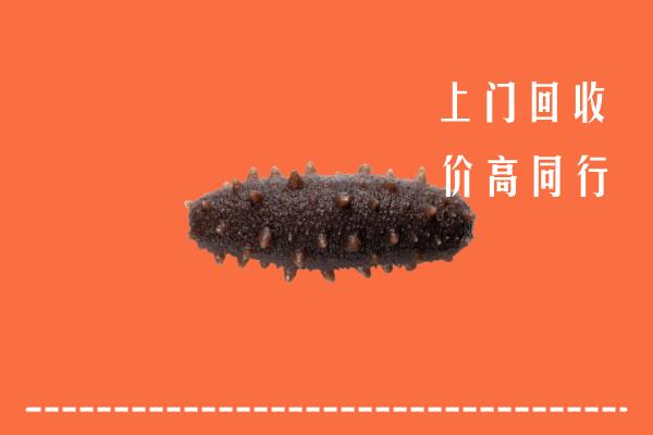 铁岭高价回收海参